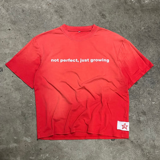 Red "not perfect, just growing" Tee